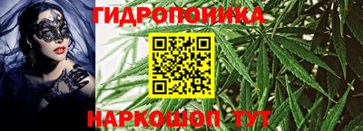 гидропоника Кингисепп