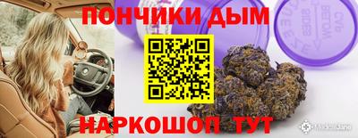 гидропоника Кингисепп