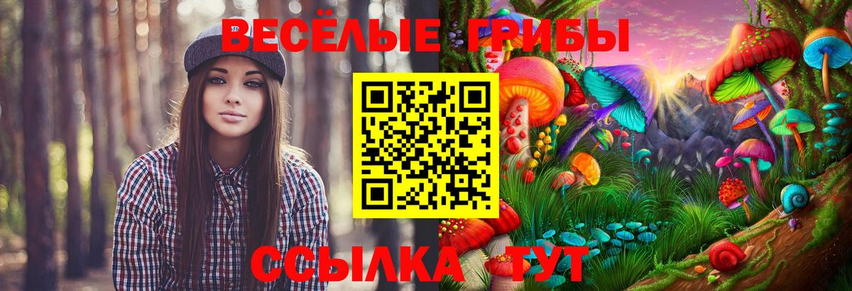 Псилоцибиновые грибы мухоморы Чистополь