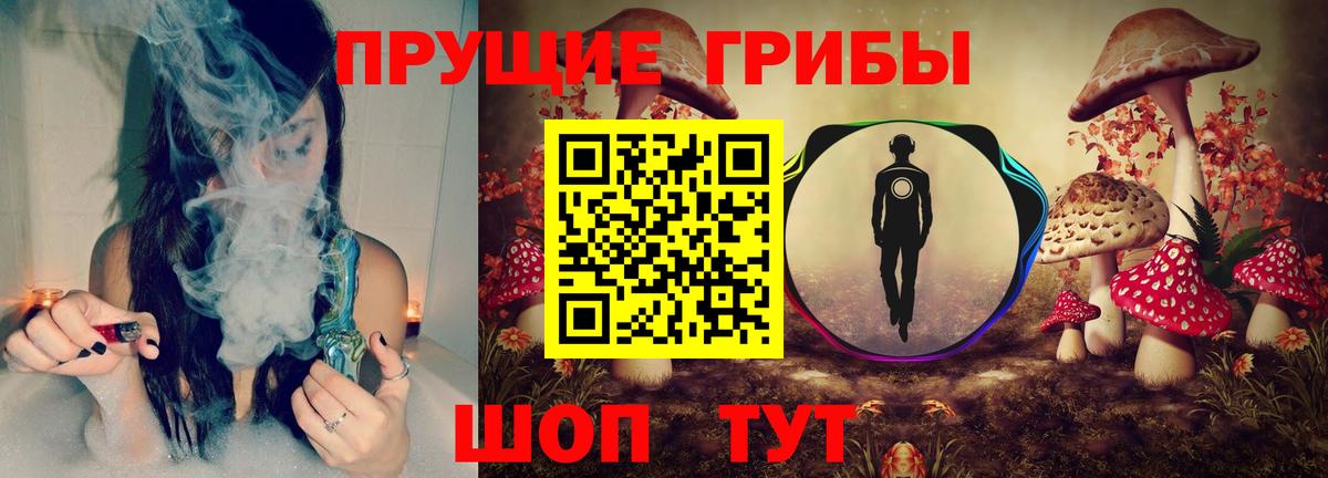 Галлюциногенные грибы Psilocybine cubensis  Вход с VPN  Чистополь 